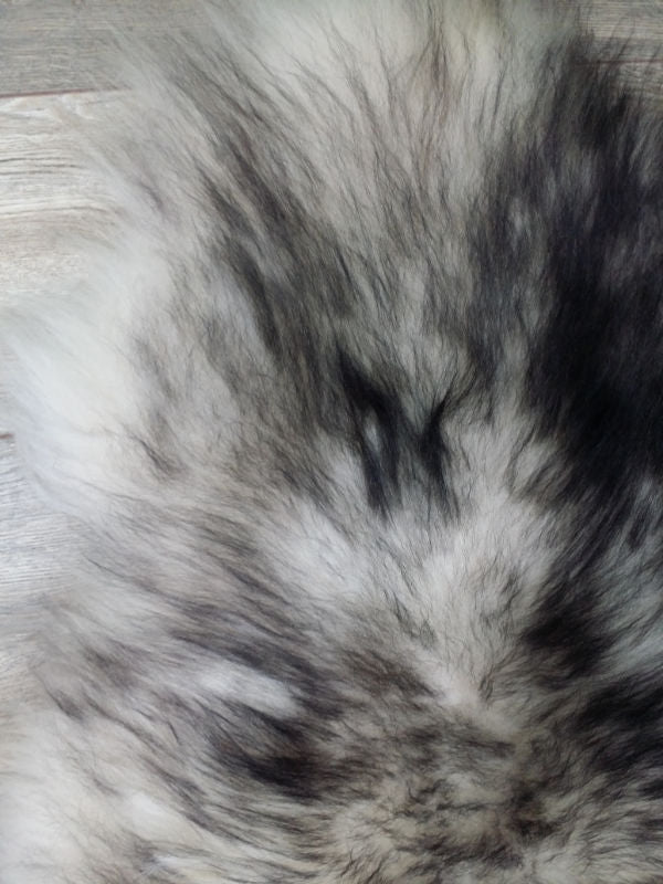 c2341d36-07ef-4af3-9607-8a43ffa2e730-afbeelding3.jpg (4083500)