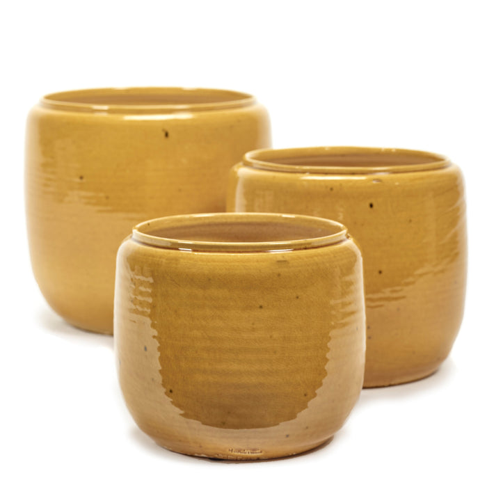 cbf3ae02-c22e-4b94-8f97-66b337725735-sfeerbeeld.jpg (4091147)