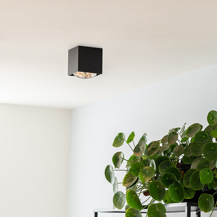 b45d0b21-72c6-40f3-932d-3f79ddf1355b-afbeelding3.jpg (4100286)