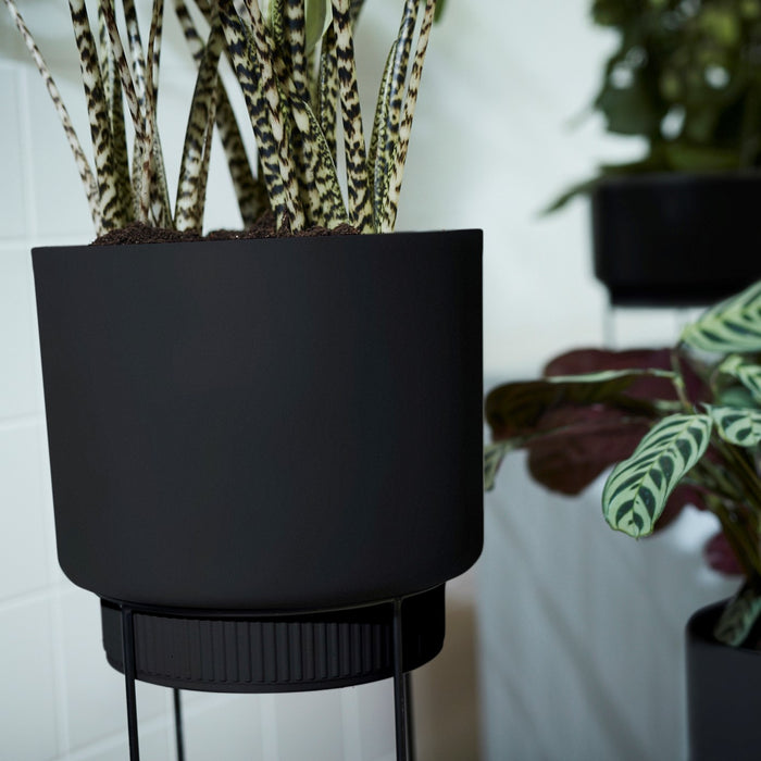 285619-x05.jpg (4108988)