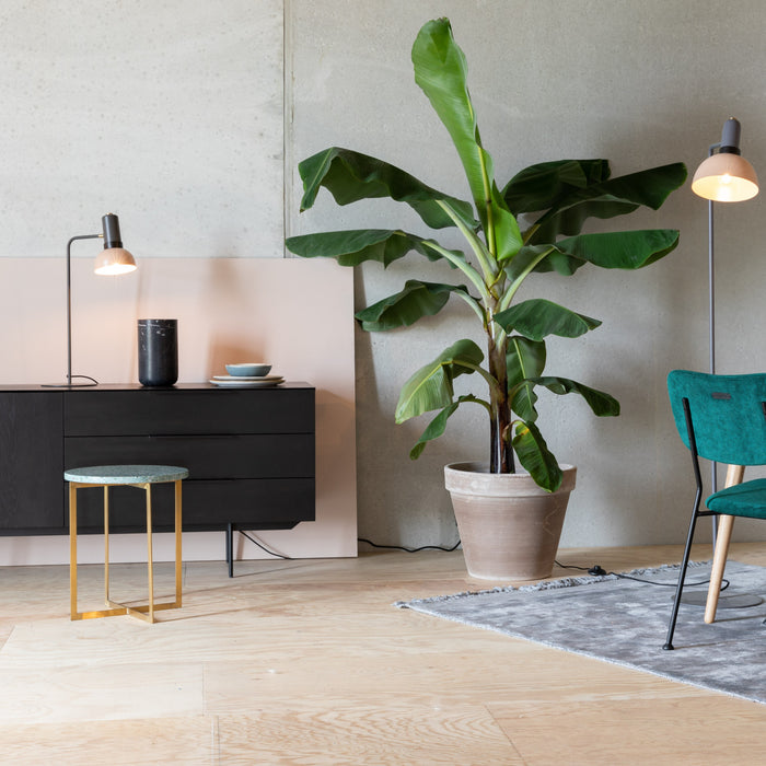 284885-x1.jpg (4148267)