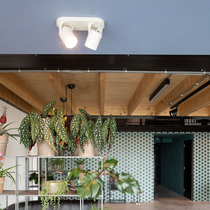 282898-x1.jpg (4150572)