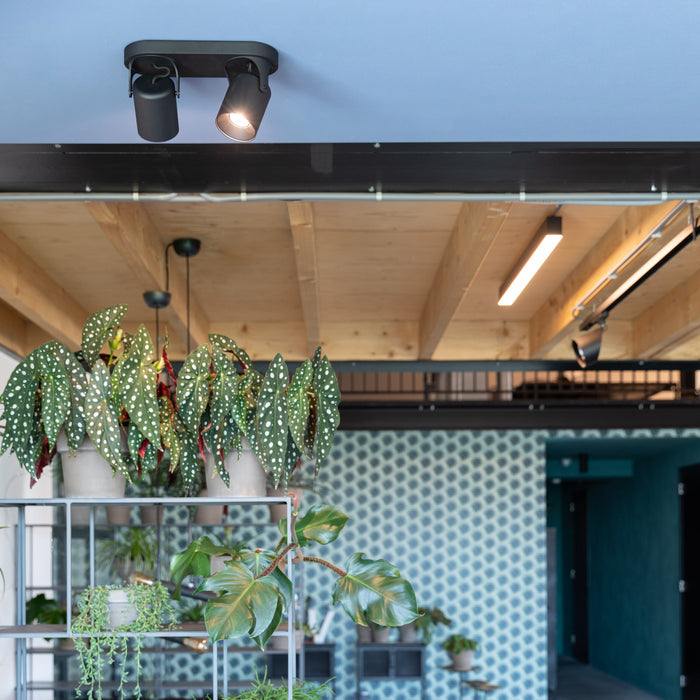 282899-x1.jpg (4150743)