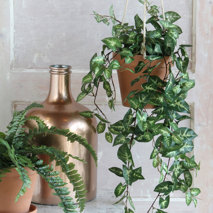 Mica Decorations Fittonia Kunst Hangplant in Pot - H80 cm - Groen