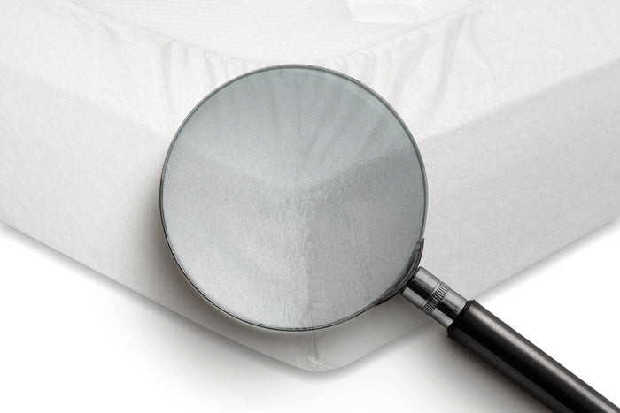 Elegance Molton Hoeslaken Katoen