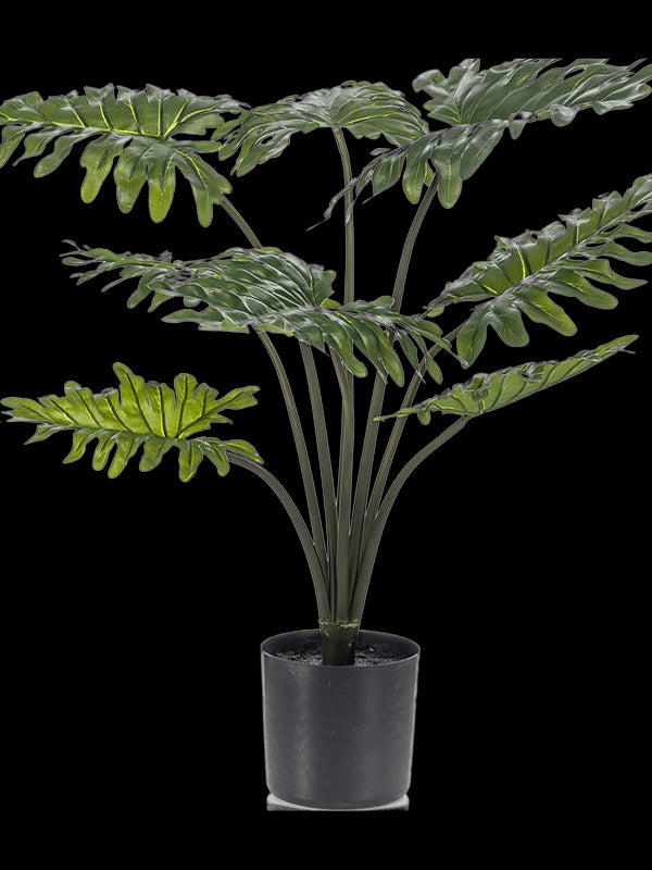 2d4d1c4c-a4ad-4bff-b73f-b6d3acbf1a40-afbeelding3.jpg (4267377)