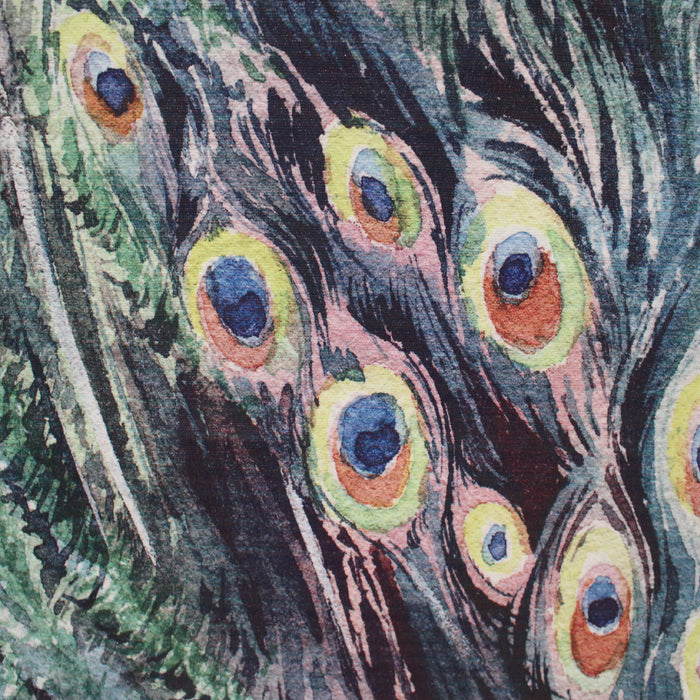 294267-x2.jpg (4268398)