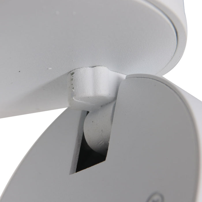 ff93d147-3b94-4a88-a76c-e8f0fadc9ab2-afbeelding5.jpg (4279445)