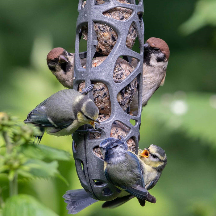 SingingFriend Recycle Pakket incl. Voeders en Vogelvoer