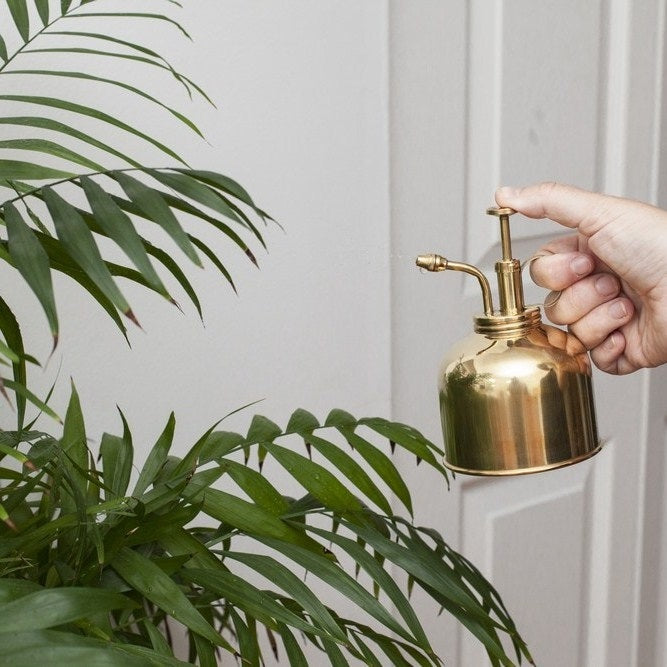 Kikkerland Plantenspuit