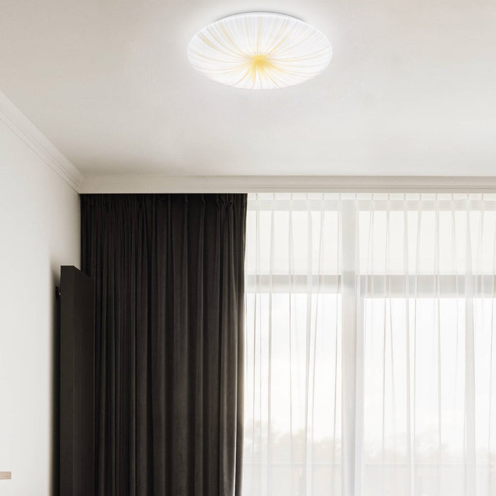 315194-x01-202209141522-a.jpg (4307653)