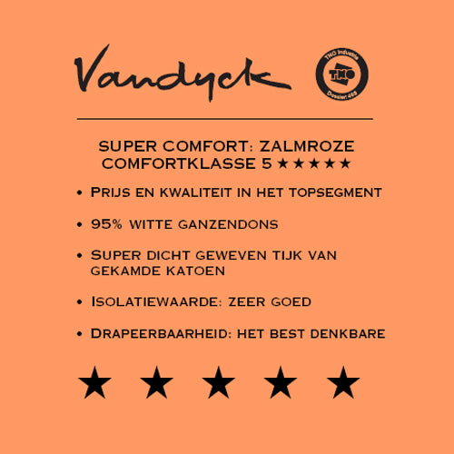 Vandyck Excellent 650 Winterdekbed 200 x 200 cm