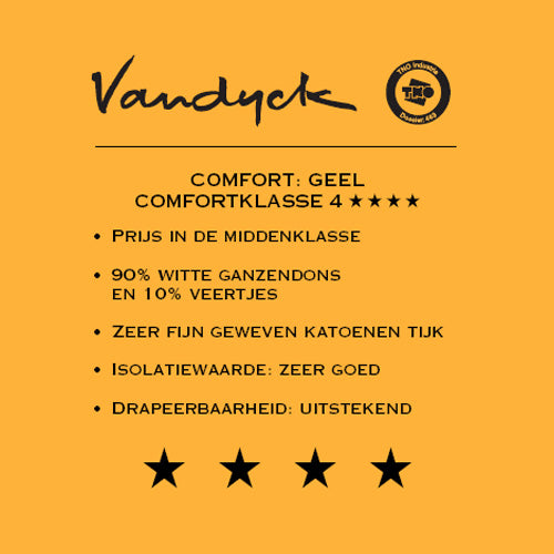 Vandyck Astro 90 4-seizoenen Dekbed 240 x 200 cm