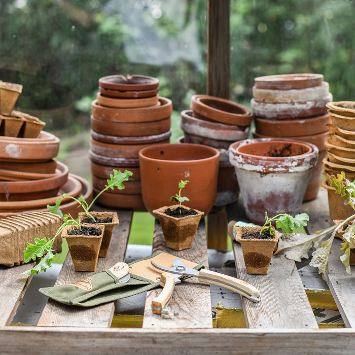 Esschert Design Snoeigereedschap - Giftset