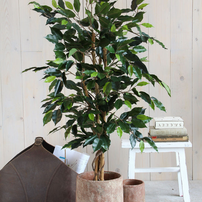 Mica Decorations Ficus Kunstplant - H105 x Ø60 cm - groen