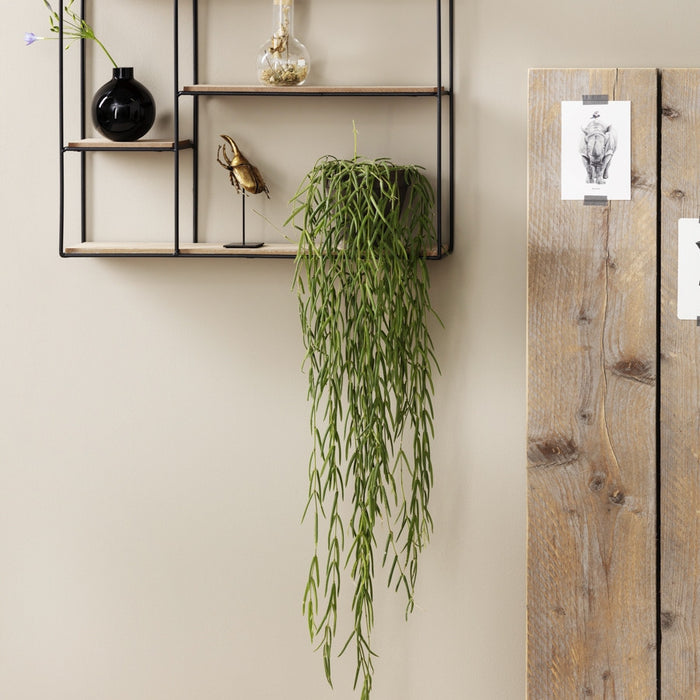 6d70d446-7ddb-465e-92ca-4f81a449e108-afbeelding9.jpg (4506536)