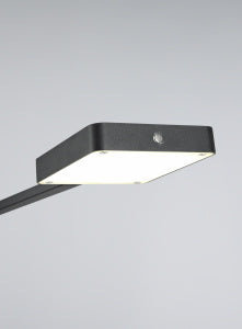 Trio Leuchten Pavia - Vloerlamp - Zwart