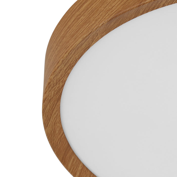 8ef00cb8-cb3b-4003-9300-dc2ab88ec491-afbeelding3.jpg (4546379)