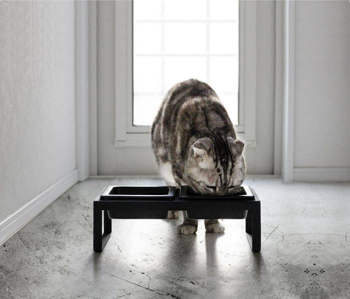 Yamazaki Voerbak Kat | Hond - Dubbel - Tower - Zwart