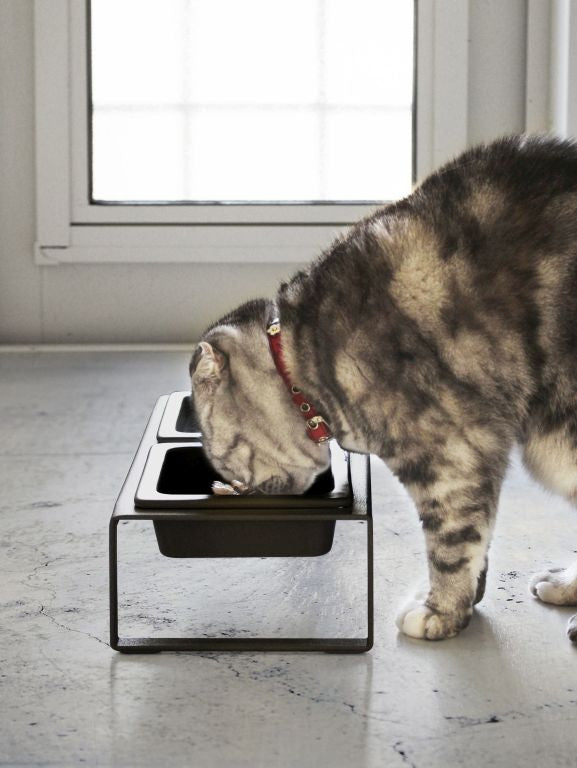 Yamazaki Voerbak Kat | Hond - Dubbel - Tower - Zwart