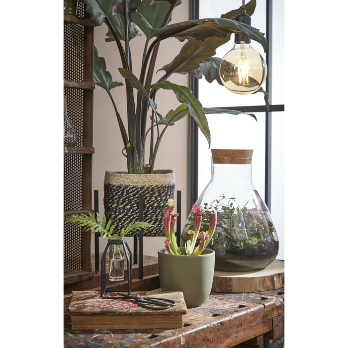 d5e91ef3-2732-40d0-b5ee-da8fccf5598f-afbeelding7.jpg (4582607)