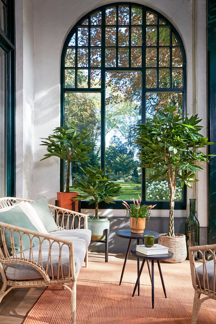 9fa486bf-5816-4da6-acdf-379a05ebfccb-afbeelding9.jpg (4599924)