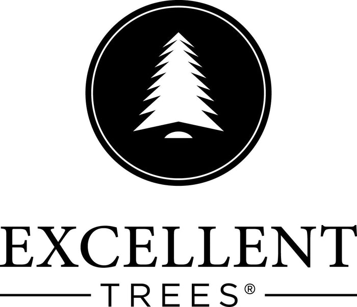 Excellent Trees® Kalmar 180 cm - Premium Kerstboom