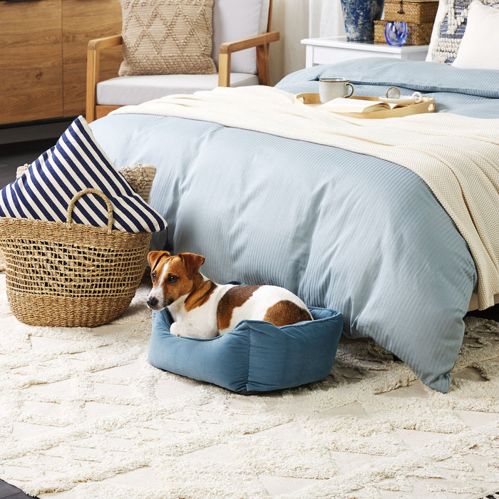 918c277e-54f4-46b7-aa86-8175a028c760-sfeerbeeld.jpg (4601457)