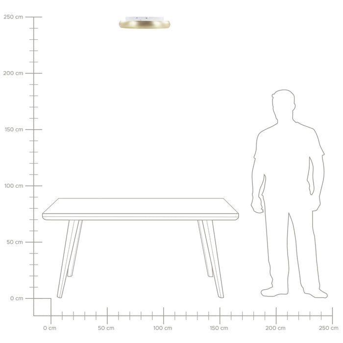 d11dc293-4337-4329-8656-4e1639b96f92-afbeelding7.jpg (4626908)