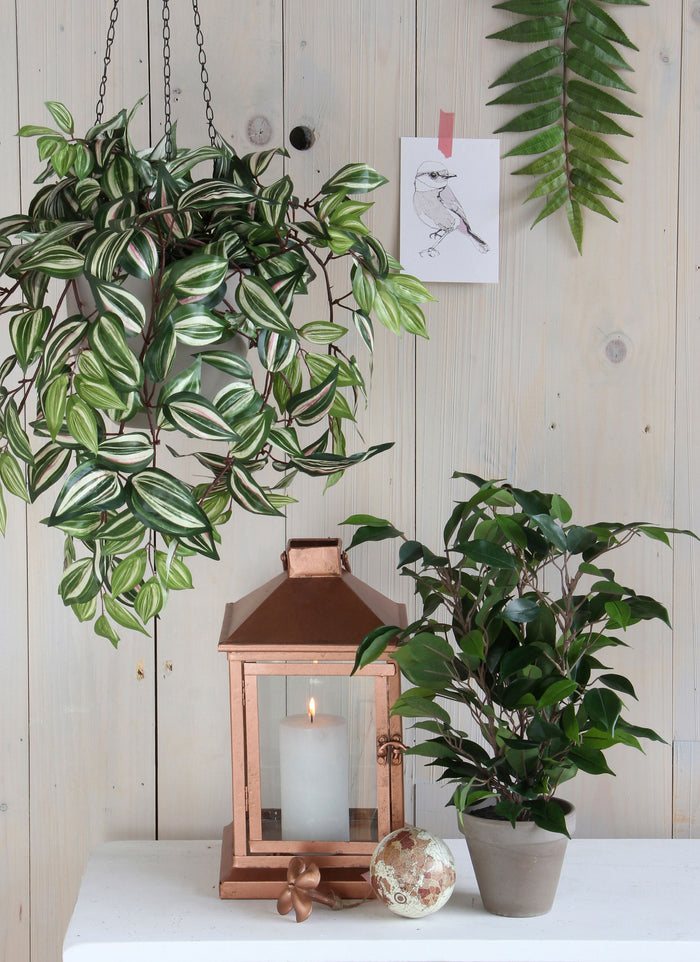 Mica Decorations Ficus Natasja Kunstplant in Bloempot H40 cm