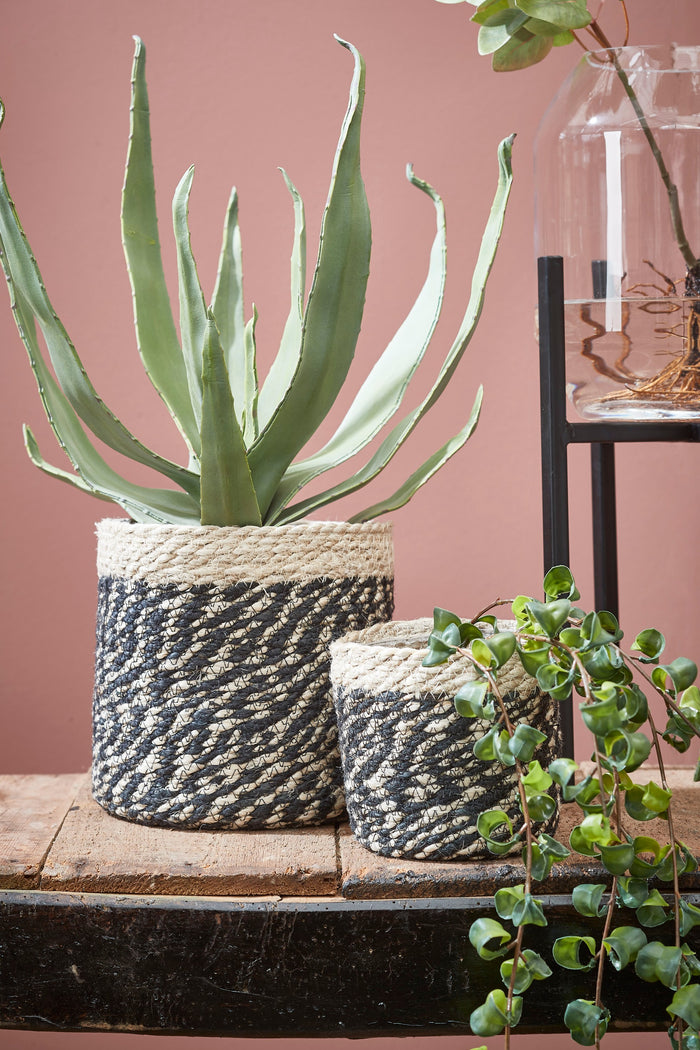 459d5724-b435-427d-9d8e-5d6e1e2dcd43-afbeelding5.jpg (4678058)