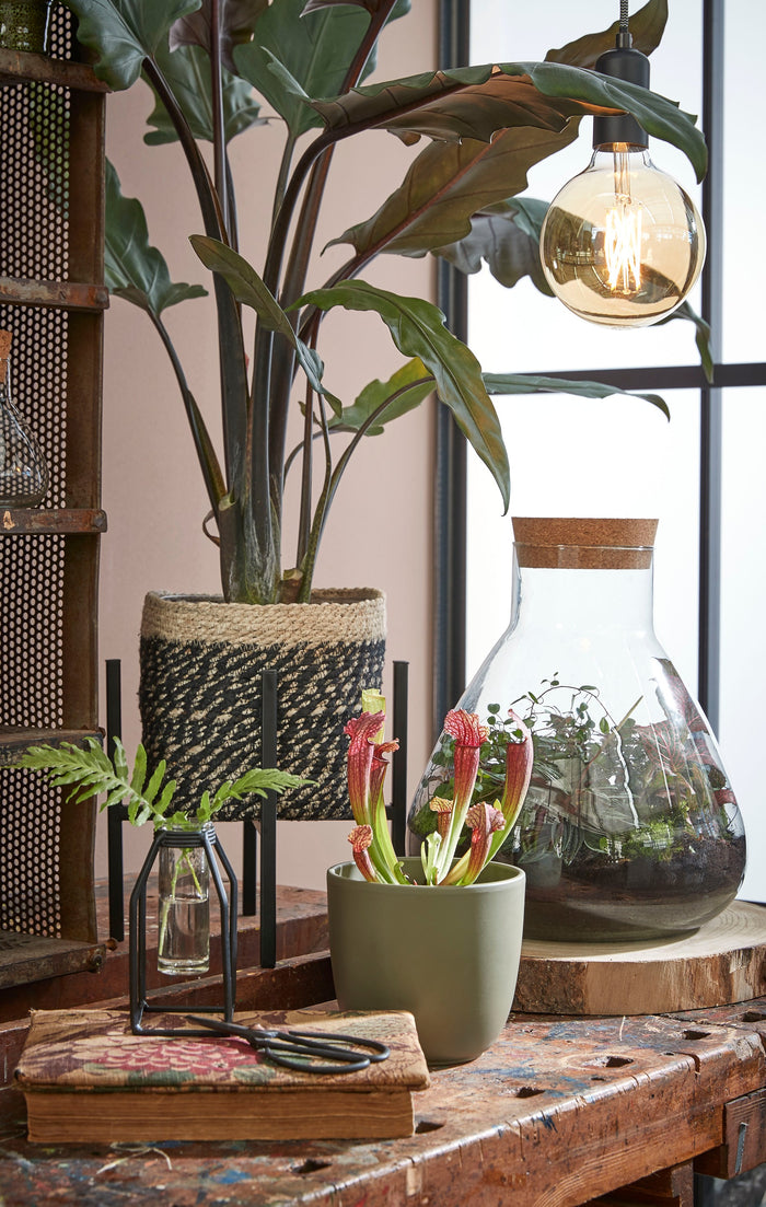 459d5724-b435-427d-9d8e-5d6e1e2dcd43-afbeelding6.jpg (4678059)