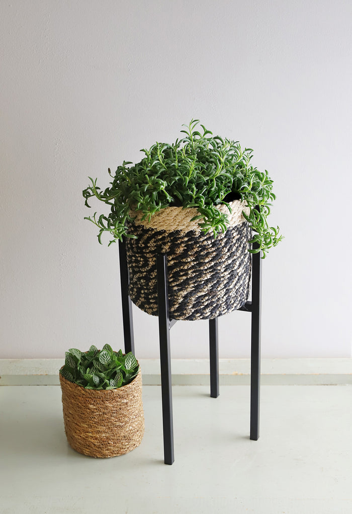 459d5724-b435-427d-9d8e-5d6e1e2dcd43-afbeelding8.jpg (4678061)