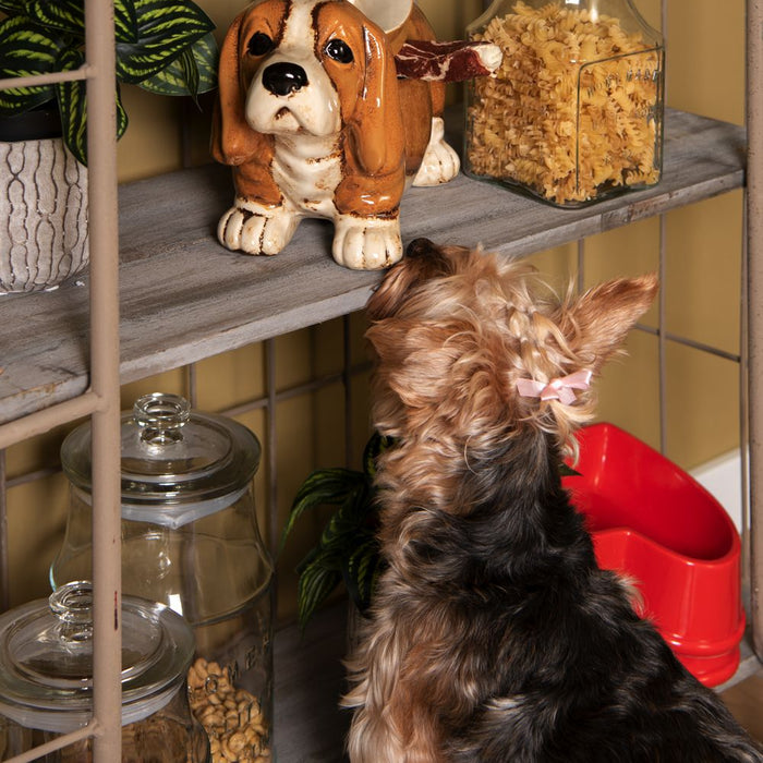 Clayre & Eef Voorraadpot Ø 15x28 cm Glas Rond Voorraadbus