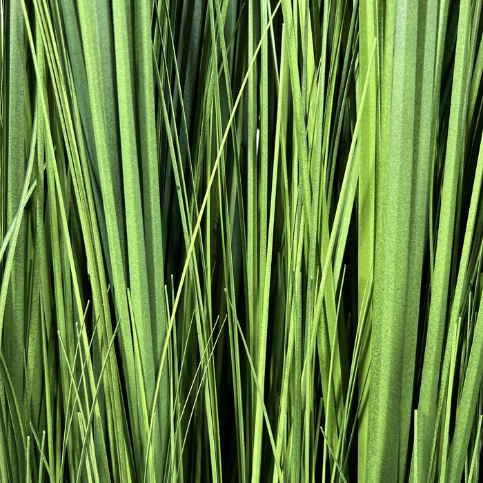 3ced33ef-b097-45db-a352-7a649bf330e5-afbeelding9.jpg (4737688)