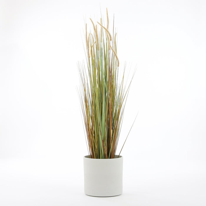 33ce9ac7-f870-42f9-b06b-9f256b1c91e3-afbeelding4.jpg (4782534)