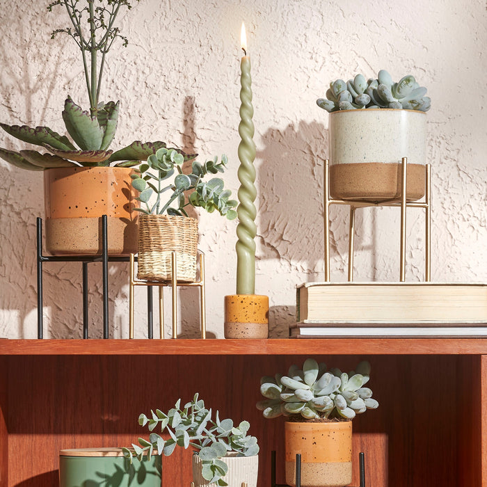 ab561c63-5f6f-4aa8-a262-b9a22c149d42-afbeelding11.jpg (4838493)