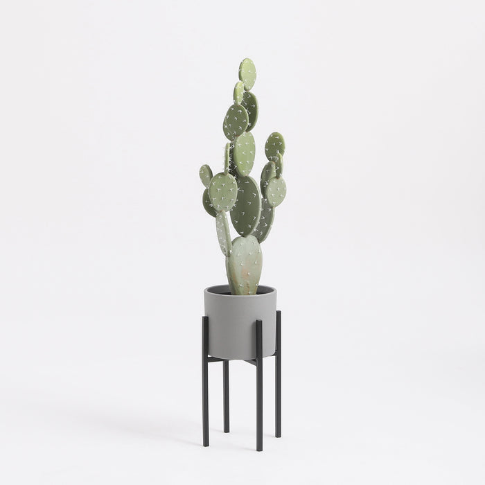 ab561c63-5f6f-4aa8-a262-b9a22c149d42-afbeelding6.jpg (4838497)