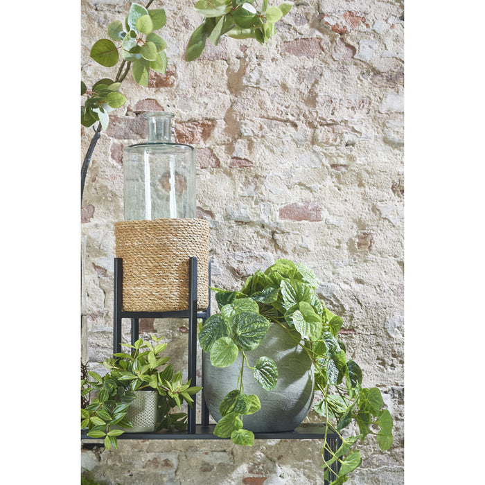 ab561c63-5f6f-4aa8-a262-b9a22c149d42-afbeelding7.jpg (4838498)