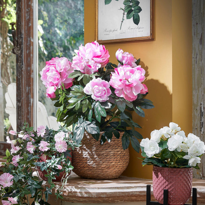 db28e503-40af-4cb8-9f01-c2a434e2ad58-afbeelding7.jpg (4839600)