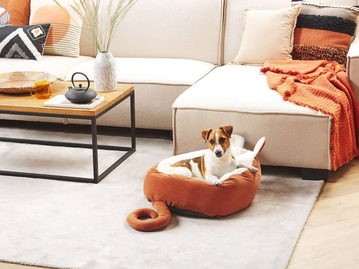 4bae8803-8482-4bc2-b8ab-d0763bebe69a-sfeerbeeld.jpg (4842722)