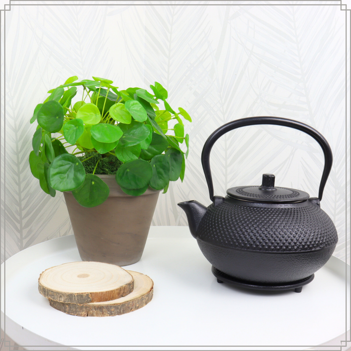 OTIX Japanse Theepot met Filter Theekan Tetsubin Zwart 1.5L Gietijzer