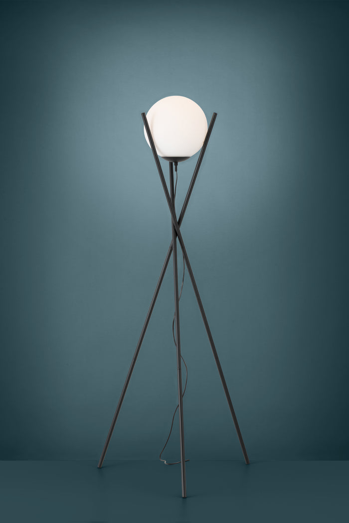 1ed11eae-9ddf-4889-b65f-b6d0c4397a46-sfeerbeeld.jpg (4859083)