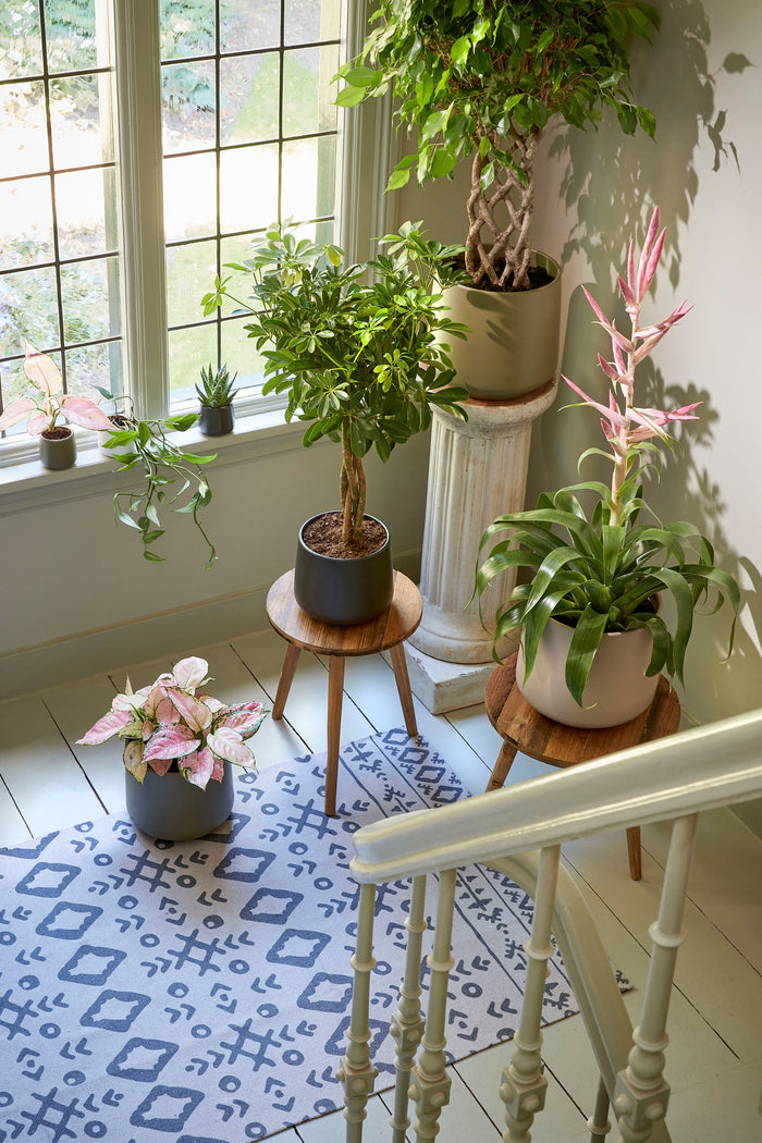 6c563b23-cda6-48ae-b081-b59e071fcfd8-afbeelding6.jpg (4870481)