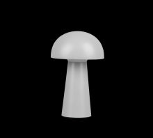 250c55a4-87cf-4190-a895-314d0c699cc5-afbeelding3.jpg (4877152)