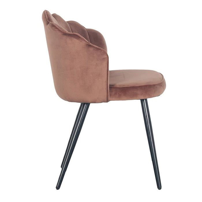 146ebe6c-303b-4da8-9221-1f703eb5a04a-afbeelding4.jpg (4896841)