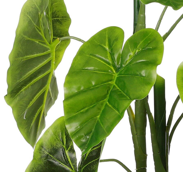 5d8e364e-7c40-4d8e-88e3-0743e5a36ec6-afbeelding3.jpg (4913166)