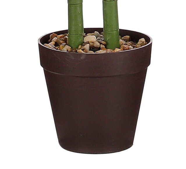 5d8e364e-7c40-4d8e-88e3-0743e5a36ec6-afbeelding4.jpg (4913167)