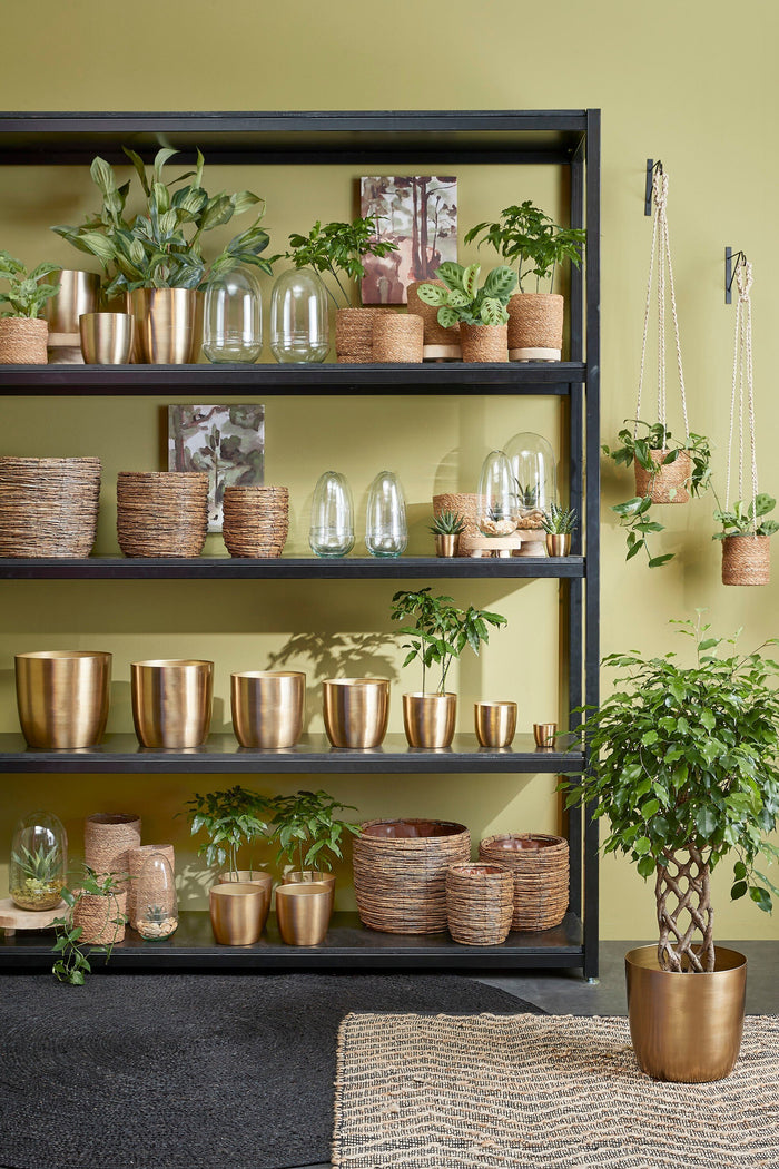 11a0574e-37fd-4328-9d10-2f1abfcc8bd2-afbeelding7.jpg (4919610)