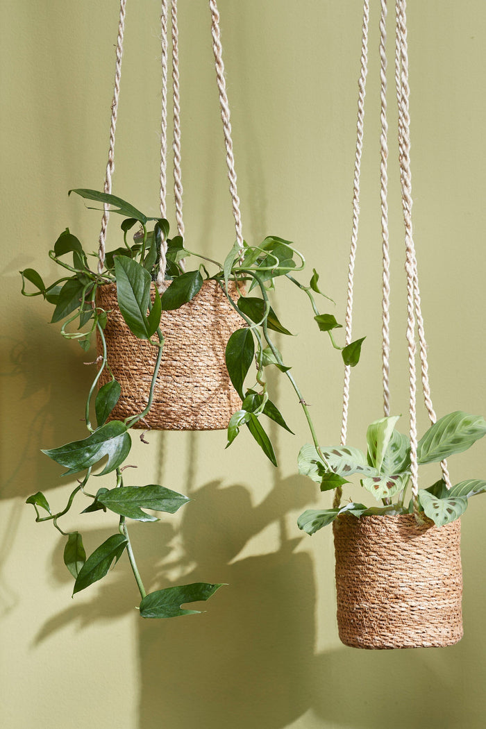 11a0574e-37fd-4328-9d10-2f1abfcc8bd2-afbeelding8.jpg (4919611)